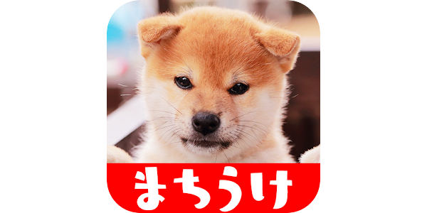 犬の可愛い壁紙 Google Play のアプリ