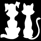 Kitten or Puppy - Cute Pets icon