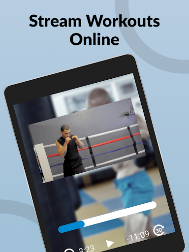 Screenshot of Ultimate MMA Fighting Program