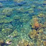 Beautiful clear marine water Apk