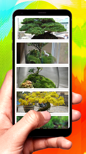 Bonsai Design Ideas Screenshot 4 - AppWisp.com