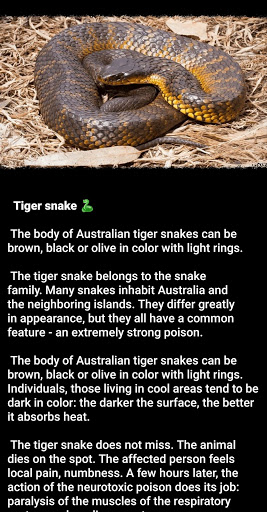Animal Power - Dangerous Snake Screen 2