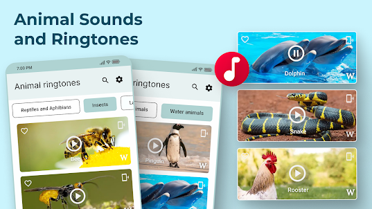 Animal Sounds and Ringtones