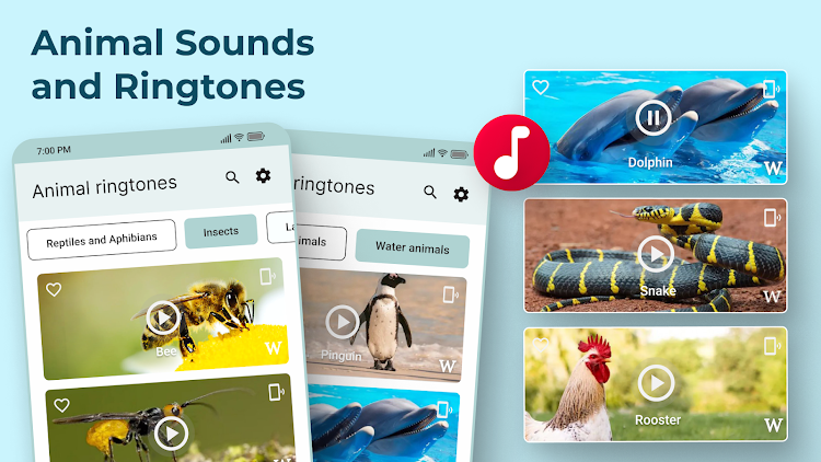 Animal Sounds and Ringtones - 1.2.1.1 - (Android)