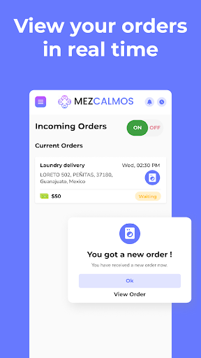 Mezdelivery Screen 2