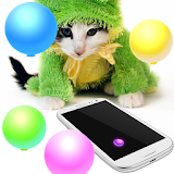 Cat Game - Balloon Smashing icon