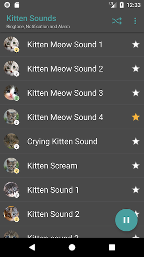 Kitten Sounds Screen 2