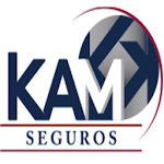 Cover Image of डाउनलोड Kam Seguros 1.07 APK