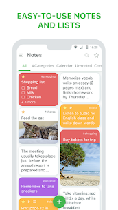 Notes: notepad and lists, organizer, reminders 1