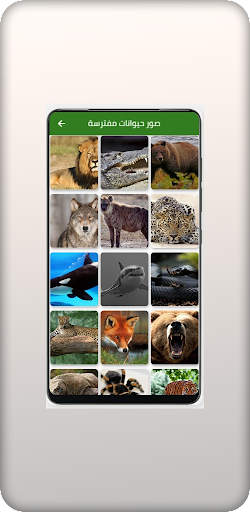 صور حيوانات Screen 2