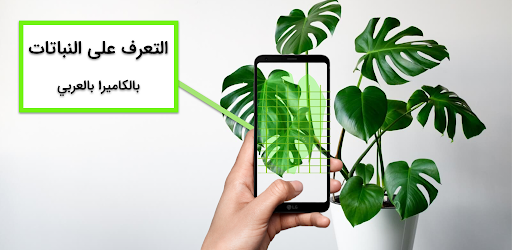 التعرف على النباتات بالكاميرا Screen 3