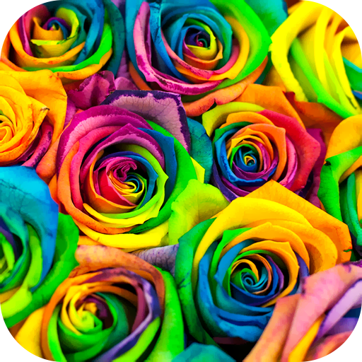 Colorful Wallpaper 2023 logo