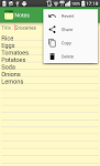 screenshot of Notes - Notepad