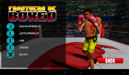 3D boxing game For PC installation