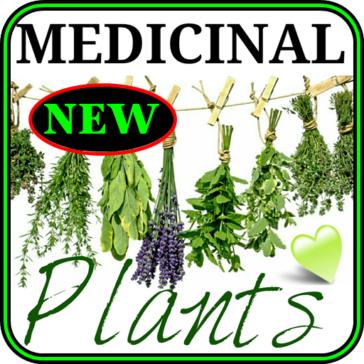 Remedies with medicinal plants. Medicinal plants