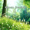 Green Forest Theme icon