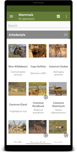 Android application Botswana Wildlife Guide screenshort