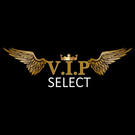 Vip select - Motorista logo