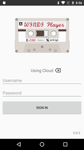 WINDI Player Screen 2