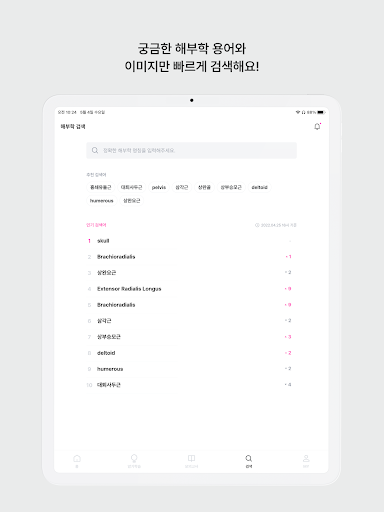 아나토미마스터 - 이파마스터가 만든 해부학 암기앱 Screenshot