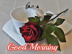Good Morning Images Gif Animated Flower  Roses 4Kのおすすめ画像5