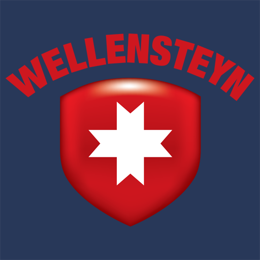 Wellensteyn logo