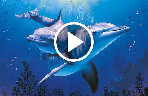 Animals : Ringtones & Sounds Screen 2