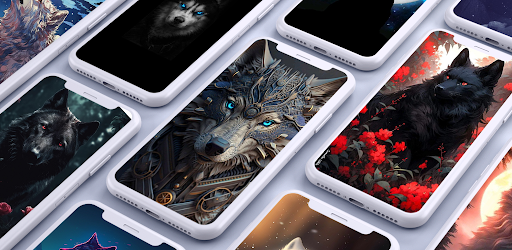 Android application Wolf Wallpapers screenshort