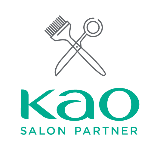 Kao Salon Partner online shop Descarga en Windows