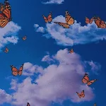 Cover Image of Herunterladen Butterfly wallpapers 1 APK