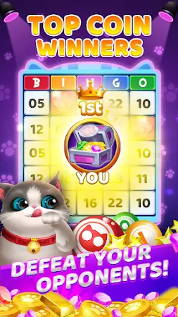 Game screenshot Bingo Winner hack