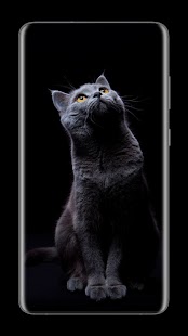 Schwarze Hintergrundbilder لقطة شاشة