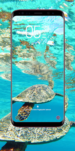 Sea Turtle Wallpaper