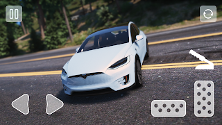 Model X Electric Tesla Parking - Screenshot 1