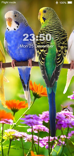 Bird Wallpaper HD Screenshot 3 - AppWisp.com