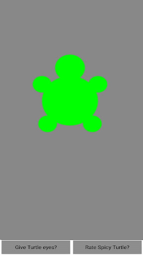 Spicy Turtle Screen 3