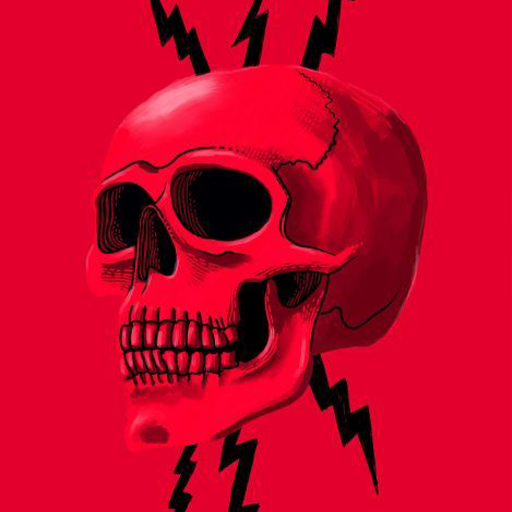 Skull Wallpapers logo