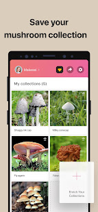 Picture Mushroom - Mushroom ID android2mod screenshots 6