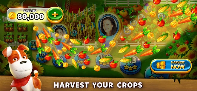 Solitaire Grand Harvest MOD APK [Unlimited Coins] 4