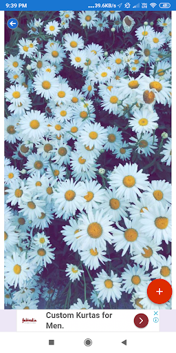 Spring HD Wallpapers