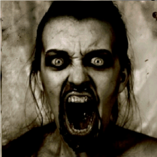 The Scary Maze logo