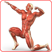 Muscle man
