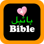 Cover Image of Tải xuống Urdu English Audio Holy Bible  APK