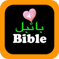 Urdu English Bilingual Audio Holy Bible Offline
