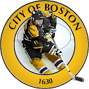 Boston Hockey - Bruins Edition 