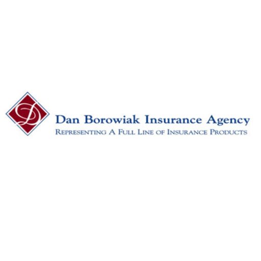 Dan Borowiak Agency Online logo