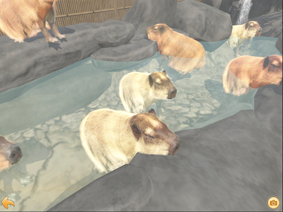Capybara Spa 1.2.0 APK screenshots 10