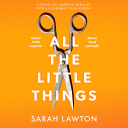Obraz ikony: All The Little Things: A tense and gripping thriller with an unforgettable ending