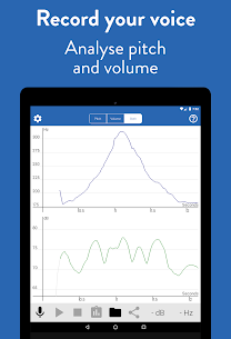 Voice Analyst 4