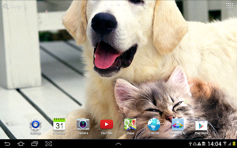 Cat Live Wallpaper For PC installation
